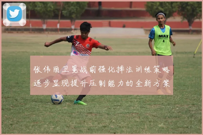张伟丽卫冕战前强化摔法训练策略逐步显现提升压制能力的全新方案