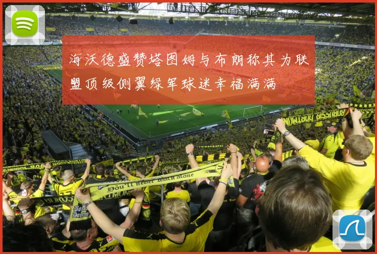 海沃德盛赞塔图姆与布朗称其为联盟顶级侧翼绿军球迷幸福满满