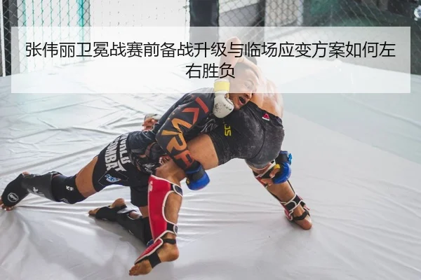 张伟丽卫冕战赛前备战升级与临场应变方案如何左右胜负